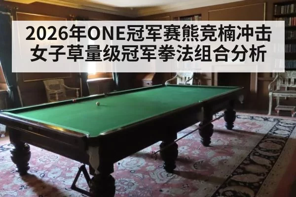 2026年ONE冠军赛熊竞楠冲击女子草量级冠军拳法组合分析
